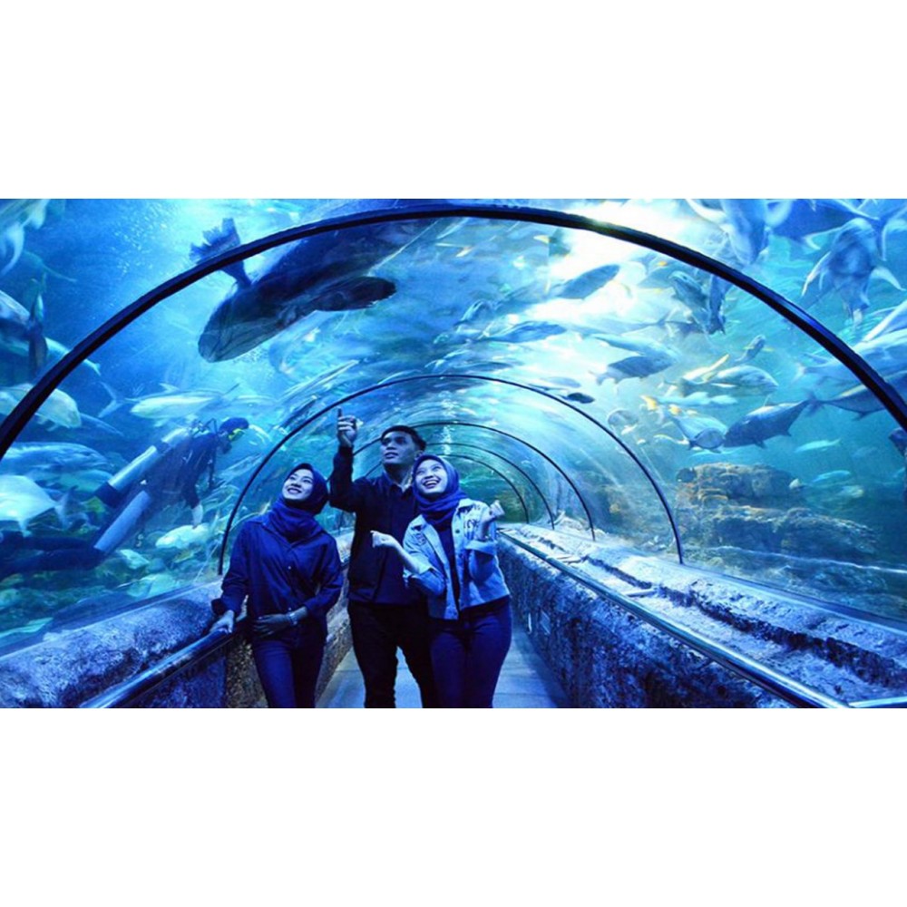 Jakarta 5D4N - Facility 4 Star Hotel ($1011)