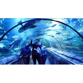 Jakarta 5D4N - Facility 5 Star Hotel ($1318)