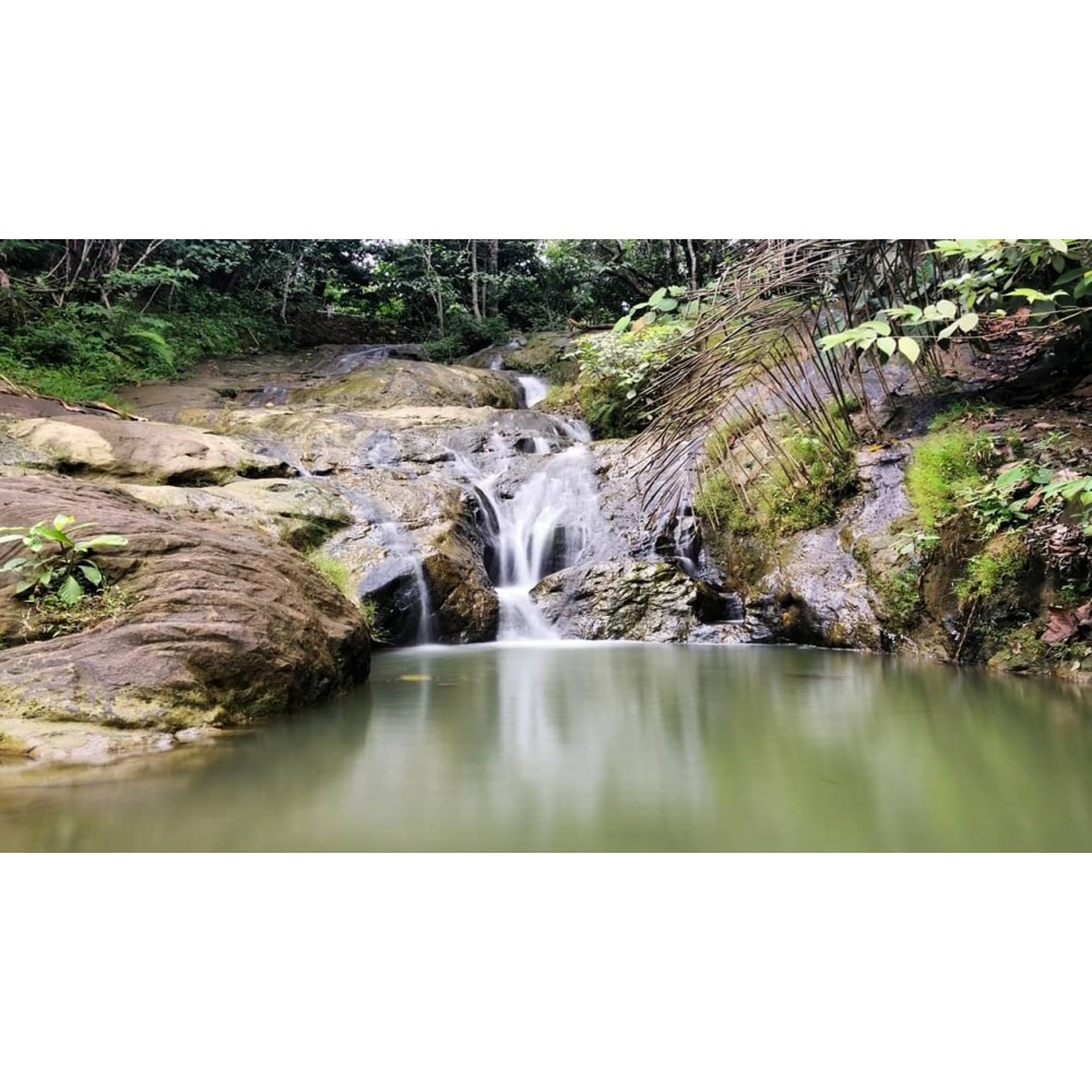 Samarinda 5D4N - Facility 4 Star Hotel ($545)