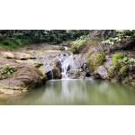 Samarinda 5D4N - Facility 4 Star Hotel ($545)